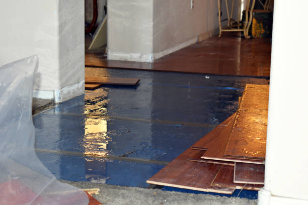 Professional Burst Pipe Cleanup technician working in Central, LA